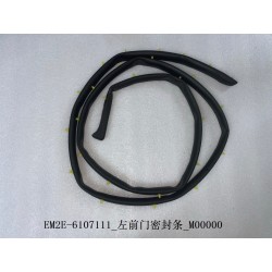 Bande d'étanchéité de la portière avant gauche - BYD - 13136565-00