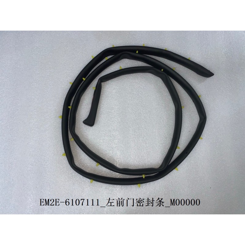 Bande d'étanchéité de la portière avant gauche - BYD - 13136565-00
