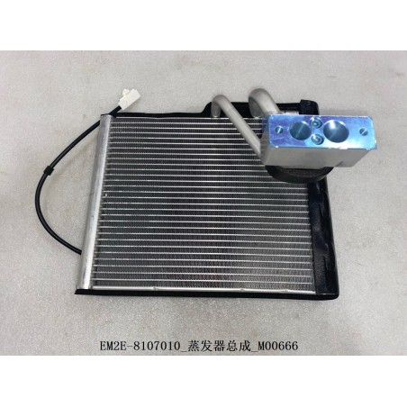 Évaporateur - BYD - 13132985-00