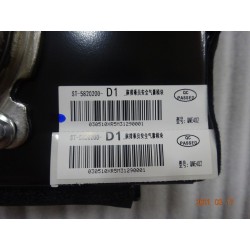 Module SRS, siège passager, première rangée - BYD - 13121332-00