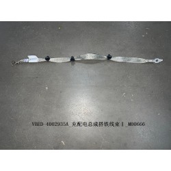 Faisceau de câbles de masse i, assy. de charge et distribution. - BYD - 13110596-00
