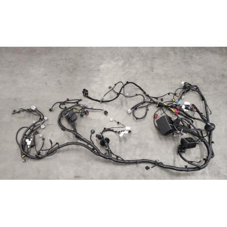 Faisceau de câblage du compartiment avant - BYD - 13104597-00