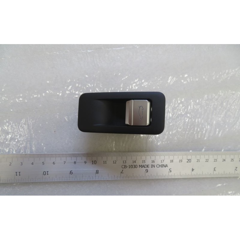 Groupe d’interrupteurs n°6 - BYD - 13089036-00