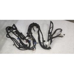Faisceau de câblage de pavillon - BYD - 14120499-00