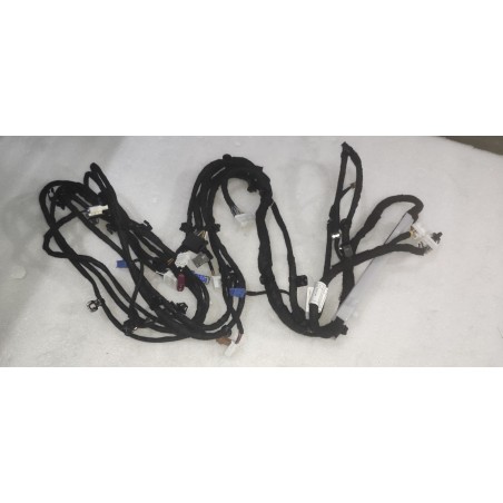 Faisceau de câblage de pavillon - BYD - 14120499-00