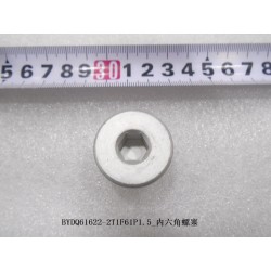 Bouchon à vis à six pans creux - BYD - 13021457-00