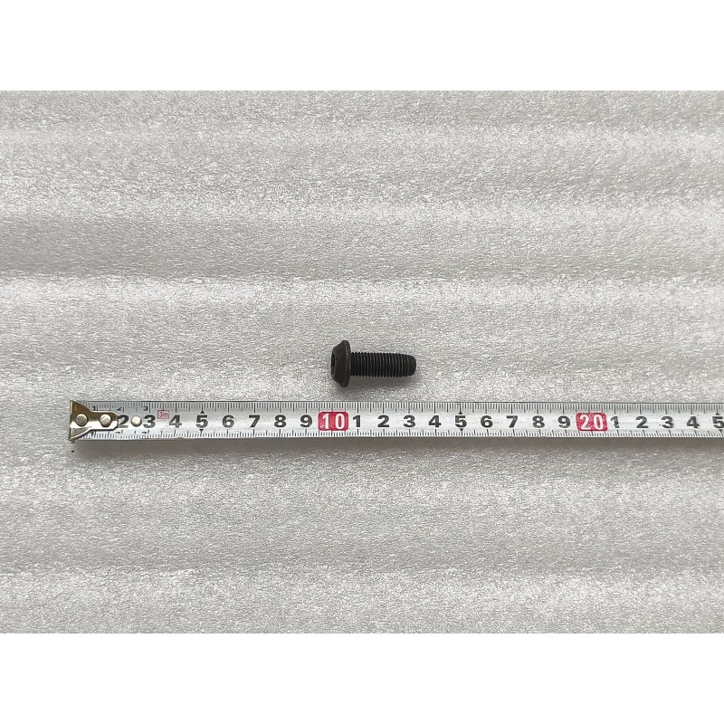 Boulon à tête cylindrique bombée à six pans creux - BYD - 13007815-00