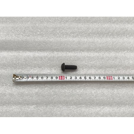 Boulon à tête cylindrique bombée à six pans creux - BYD - 13007815-00
