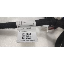 Faisceau de câblage de pavillon - BYD - 14120499-00