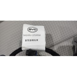Dossier de siège avant passager-Beige YAP - BYD - 19645626-00