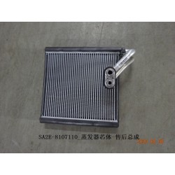 Noyau de l'évaporateur - Ensemble après-vente - BYD - 12977968-00