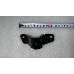 Support de la poignée de la portière arrière gauche - BYD - 12956349-00