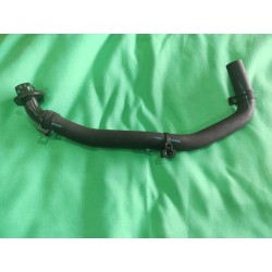Tuyau de ventilation du canister de carbone II - BYD - 12953250-00
