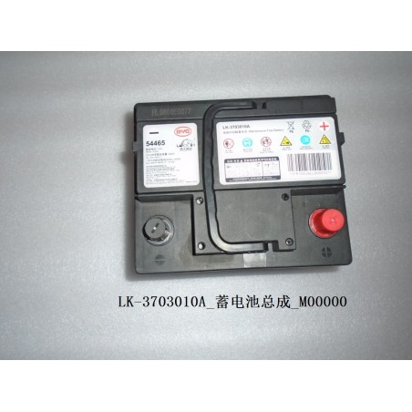 Batterie 12 V - BYD - 12933328-00