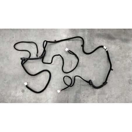 Faisceau de câbles de porte arrière ii - BYD - 12916213-00