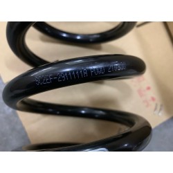 Ressort hélicoïdal arrière - BYD - 12878204-00
