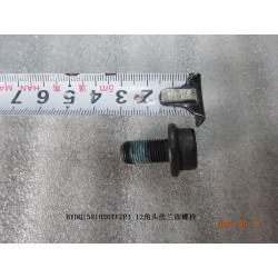 Boulon à bride double hexagonale - BYD - 12876412-00
