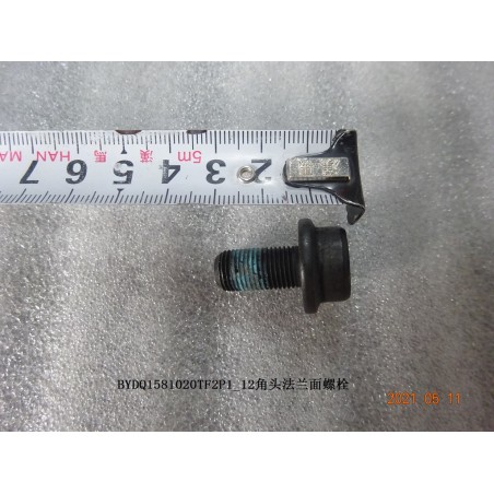 Boulon à bride double hexagonale - BYD - 12876412-00