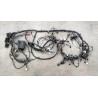 Faisceau de câblage du compartiment avant - BYD - 12868531-00