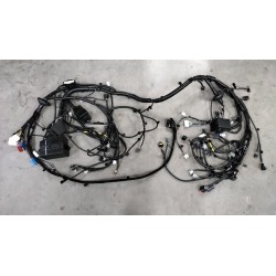 Faisceau de câblage du compartiment avant - BYD - 12834422-00