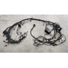 Faisceau de câblage du compartiment avant - BYD - 12834404-00