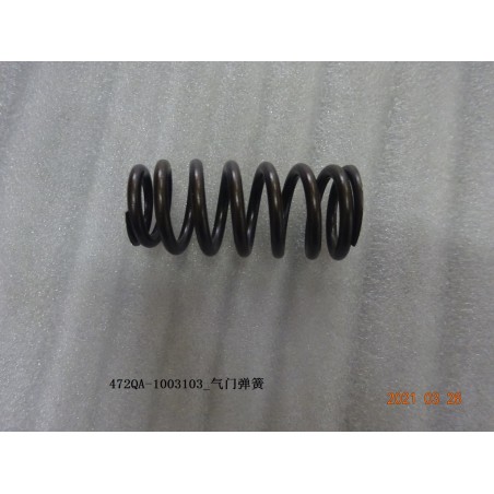 Ressort de soupape - BYD - 12798658-00