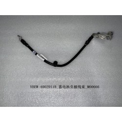 Faisceau négatif de batterie - BYD - 12795702-00