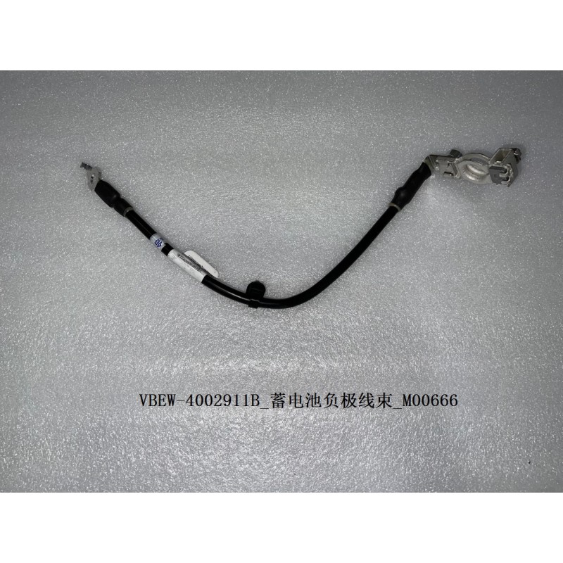 Faisceau négatif de batterie - BYD - 12795702-00