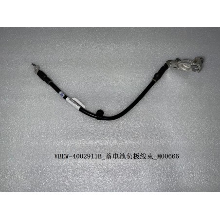 Faisceau négatif de batterie - BYD - 12795702-00