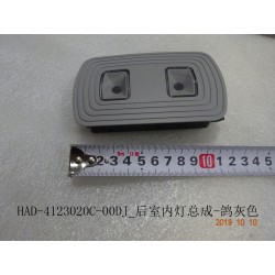 Éclairage intérieur, arrière - gris - BYD - 12790003-00