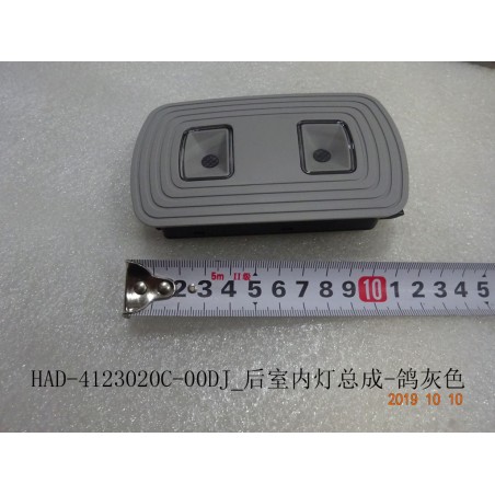 Éclairage intérieur, arrière - gris - BYD - 12790003-00