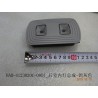 Éclairage intérieur, arrière - gris - BYD - 12790003-00