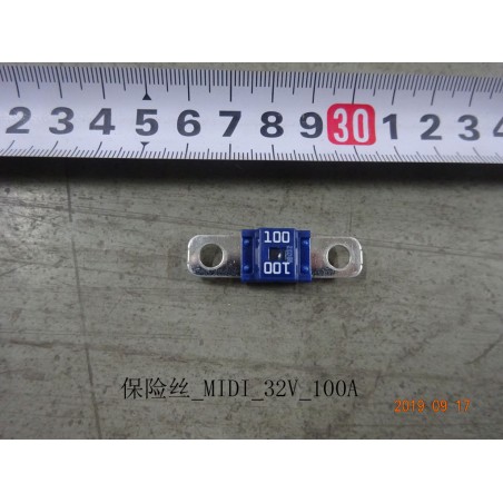 Fusible - MIDI - 32 V - 100 A - BYD - 12784466-00