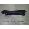 Garde de porte arrière gauche - BYD - 12777366-00