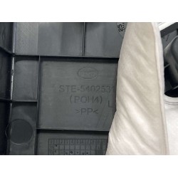 Protection du seuil de la portière arrière gauche - Noir foncé 5 - BYD - 12748704-00