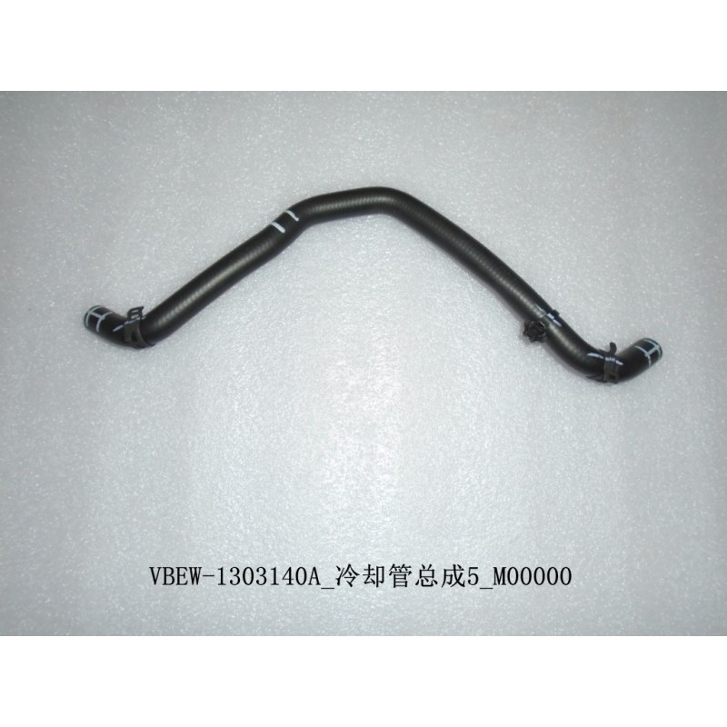 Tuyau de refroidissement assy. 5 - BYD - 12738858-00