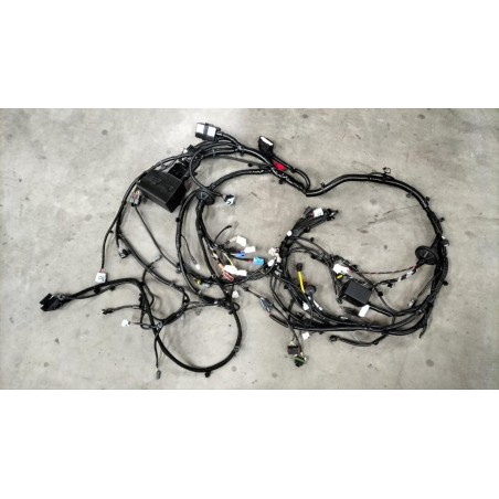 Faisceau de câblage du compartiment avant - BYD - 12703918-00