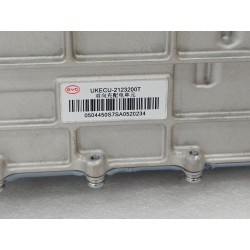 Contrôle du domaine d'alimentation - BYD - 19589990-00