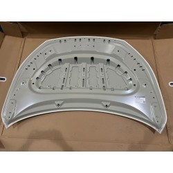 Capot - BYD - 19581057-00
