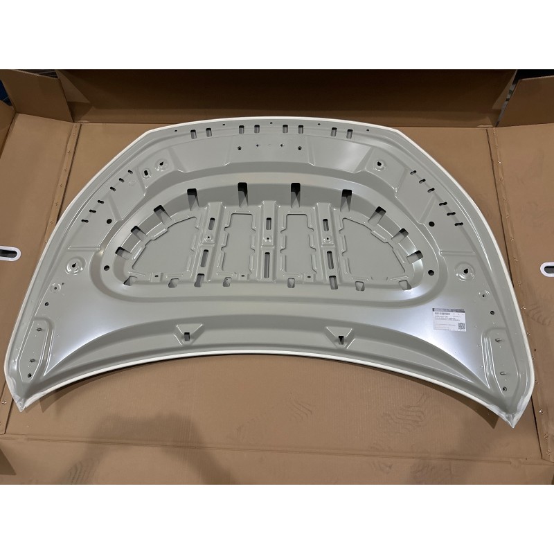 Capot - BYD - 19581057-00