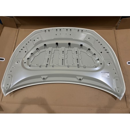 Capot - BYD - 19581057-00