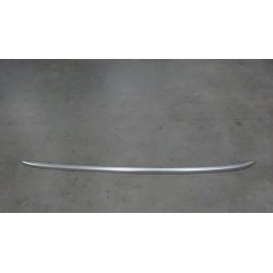 Galerie gauche - BYD - 12681121-00