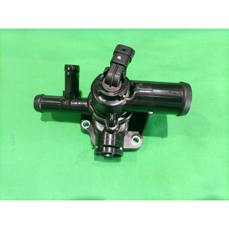 Thermostat - BYD - 12668319-00