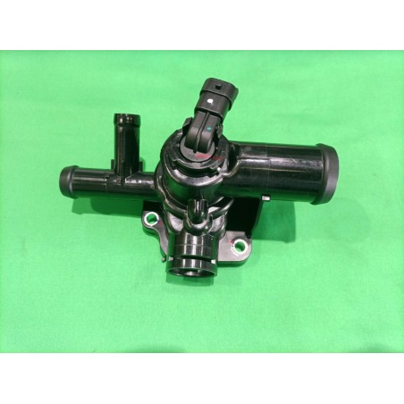 Thermostat - BYD - 12668319-00