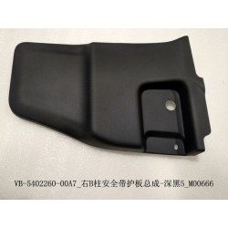 Protection de ceinture de sécurité du montant B droit - noir foncé 5 - BYD - 12668273-00