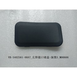 Bouchon de soudure gauche - noir foncé 5 - BYD - 12668255-00