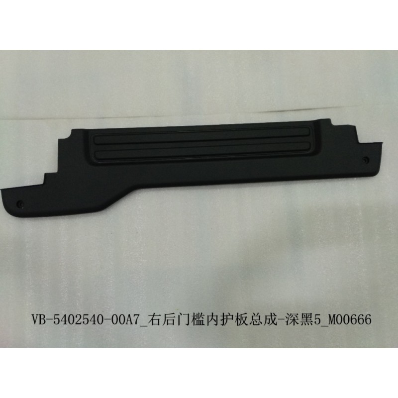 Protection intérieure du seuil de porte arrière droit - noir foncé 5 - BYD - 12668252-00
