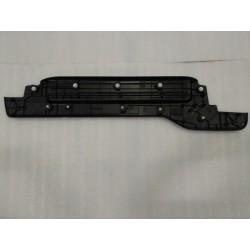 Protection intérieure du seuil de porte arrière droit - noir foncé 5 - BYD - 12668252-00