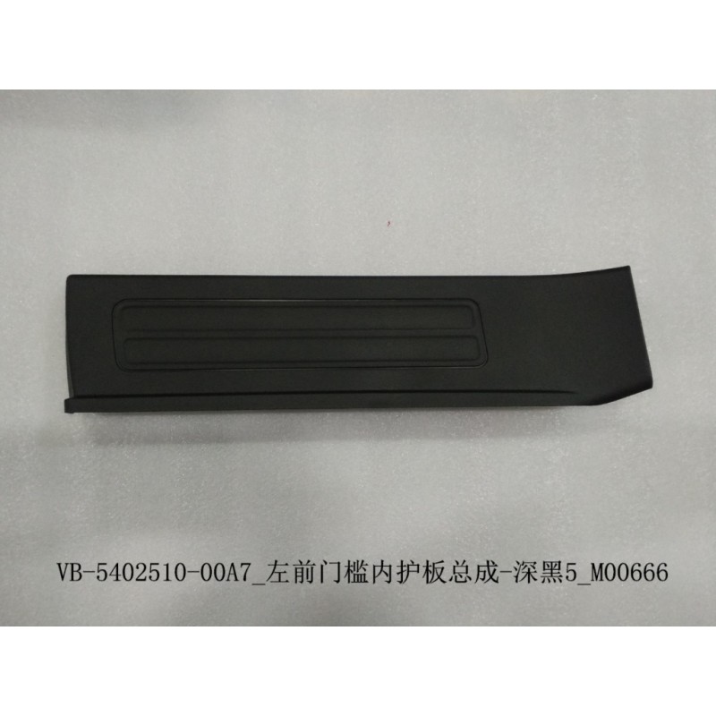 Protection intérieure du seuil de porte avant gauche - noir foncé 5 - BYD - 12668249-00