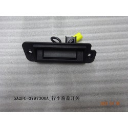 Interrupteur du couvercle du coffre - BYD - 12665823-00